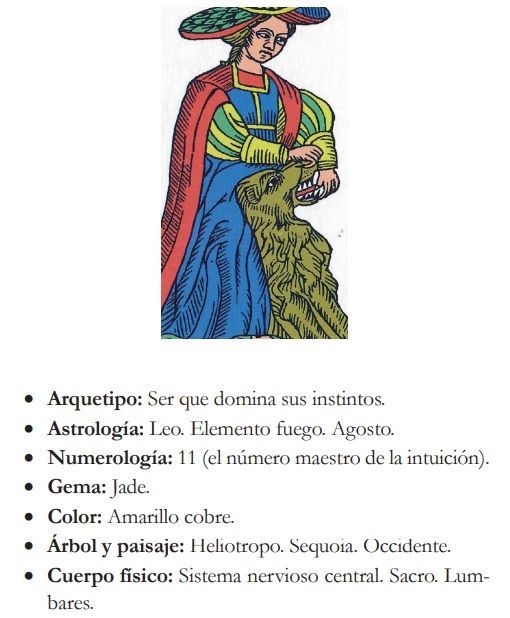 Descubre todo sobre el arcano de la fuerza - GuíaBurros: Tarot
